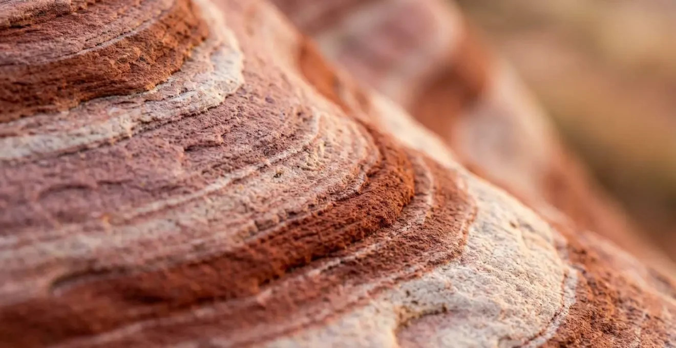 Close-up view of Fire Wave's undulating red, pink, and white striped sandstone layers with abstract cross-bedding patterns